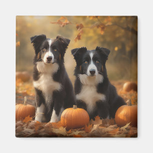 Border Collie Puppy Autumn Delight Pumpkin Magnet