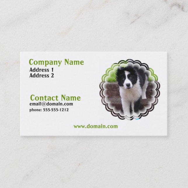 Border Collie Puppy Business Card (Front)