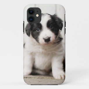Border Collie Puppy iPhone 11 Case