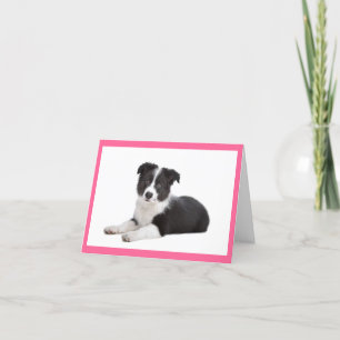 Border Collie Puppy Dog Blank Note Card