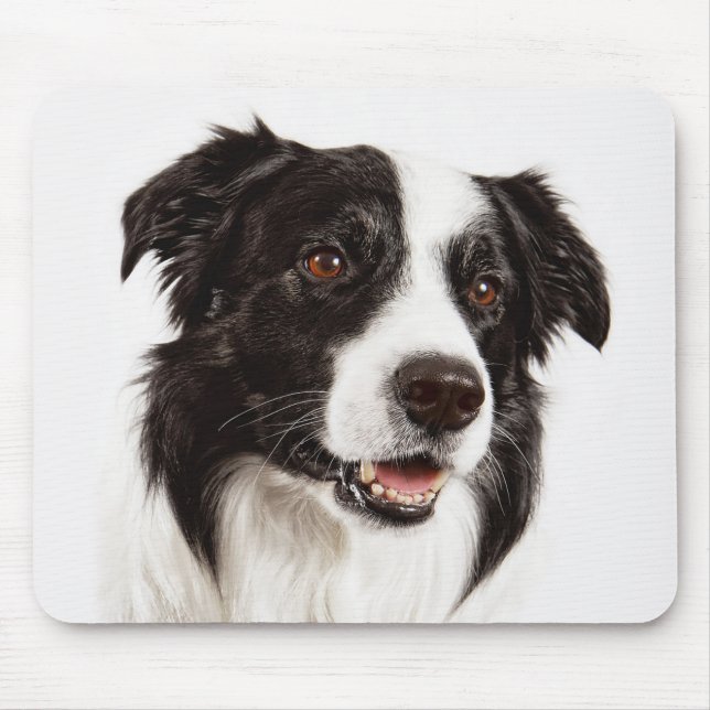 Border Collie Puppy Dog Mousepad (Front)