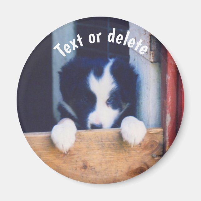 Border Collie Puppy Dog Personalized Magnet (Front)