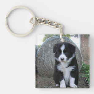 Border Collie Puppy Farm Life, Key Ring