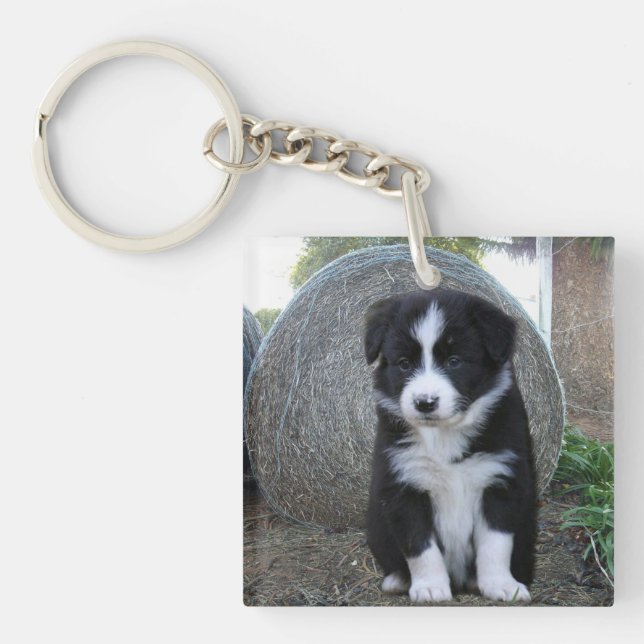 Border Collie Puppy Farm Life, Key Ring (Front)