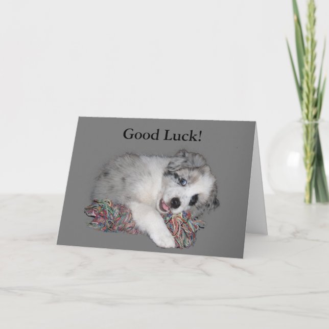 Border Collie puppy good luck card (Front)