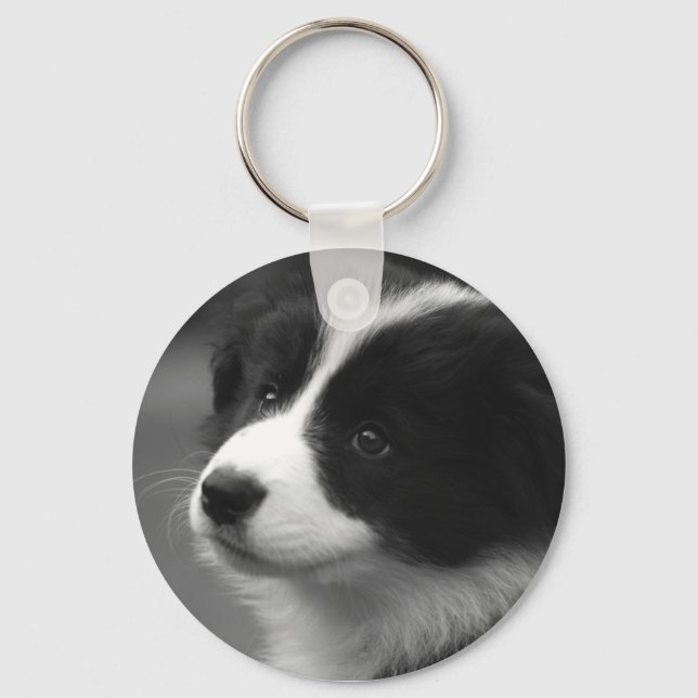 Border Collie Puppy Key Ring (Front)