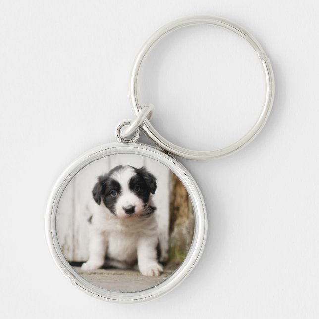 Border Collie Puppy Key Ring (Front)