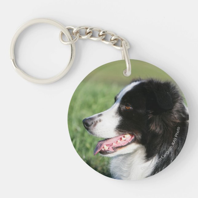 Border Collie Puppy Laying Down Key Ring (Front)