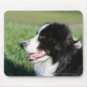 Border Collie Puppy Laying Down Mouse Mat