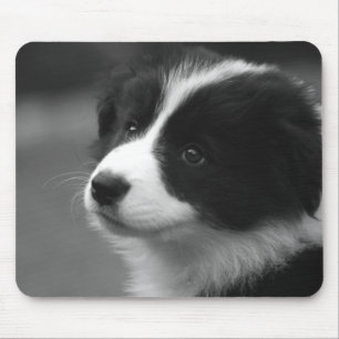 Border Collie Puppy Mouse Mat