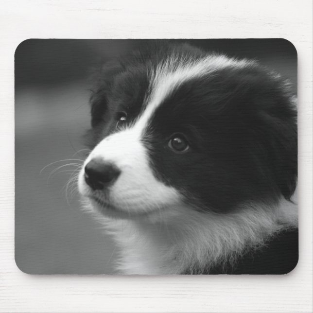 Border Collie Puppy Mouse Mat (Front)