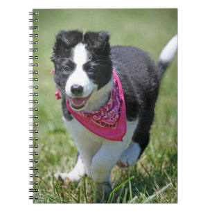 Border Collie Puppy running Notebook
