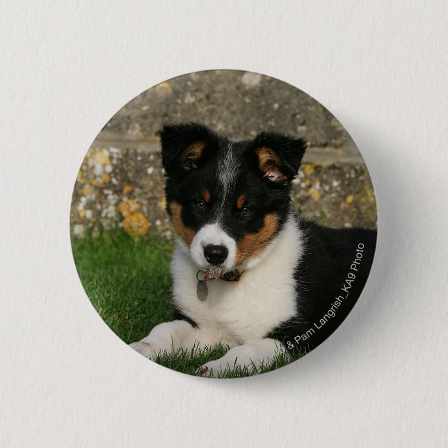 Border Collie Puppy with Leaf in Mouth 6 Cm Round Badge (Front)