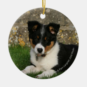 Border Collie Puppy with Leaf in Mouth Ceramic Tree Decoration