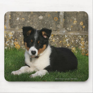 Border Collie Puppy with Leaf in Mouth Mouse Mat