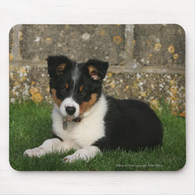 Border Collie Puppy with Leaf in Mouth Mouse Mat (Front)