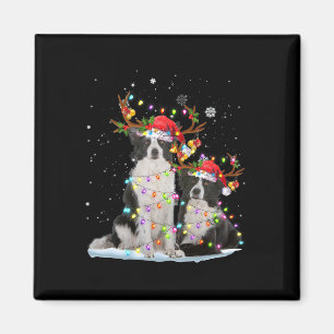 Border Collie Reindeer Santa Hat Xmas Lights Chris Magnet