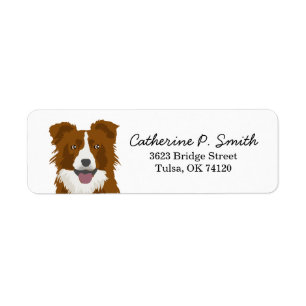 Border Collie Return Address