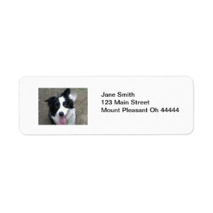 Border Collie Return Address Labels