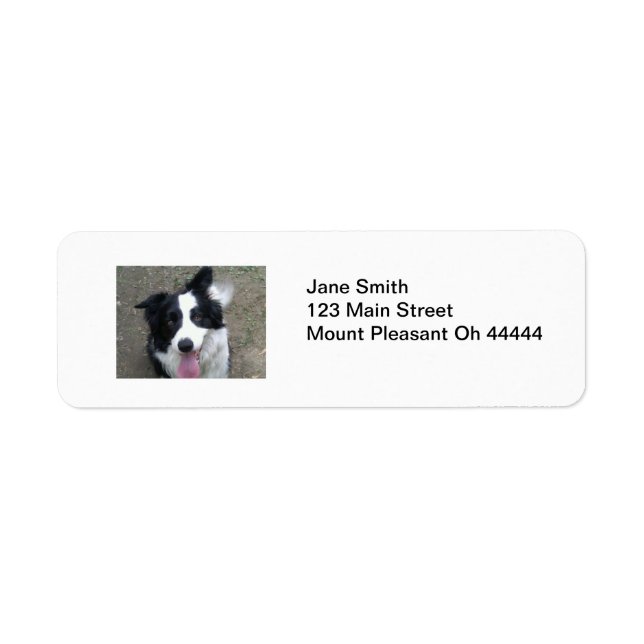 Border Collie Return Address Labels (Front)