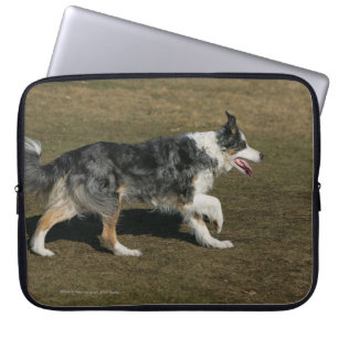 Border Collie Running 1 Laptop Sleeve