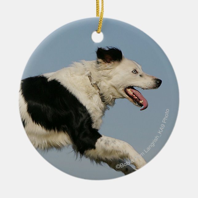 Border Collie Running 2 Ceramic Tree Decoration (Front)