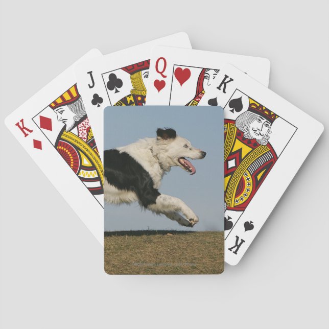 Border Collie Running 2 Playing Cards (Back)