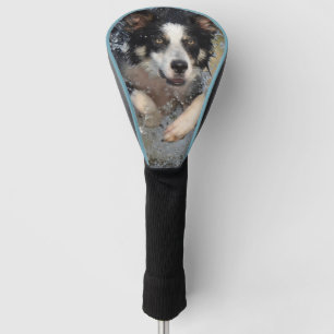 border collie running in water golf head cover