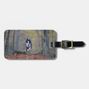 border collie running in woods luggage tag