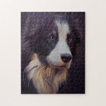 Border Collie Sheep Dog Portrait Painting