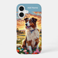 Border Collie Shepherd Dog