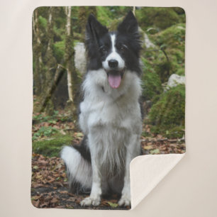BORDER COLLIE SHERPA BLANKET
