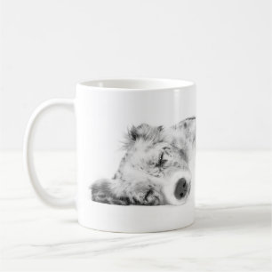 Border collie sleeping coffee mug
