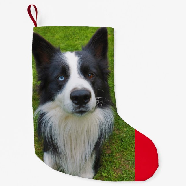 Border Collie Small Christmas Stocking (Front)