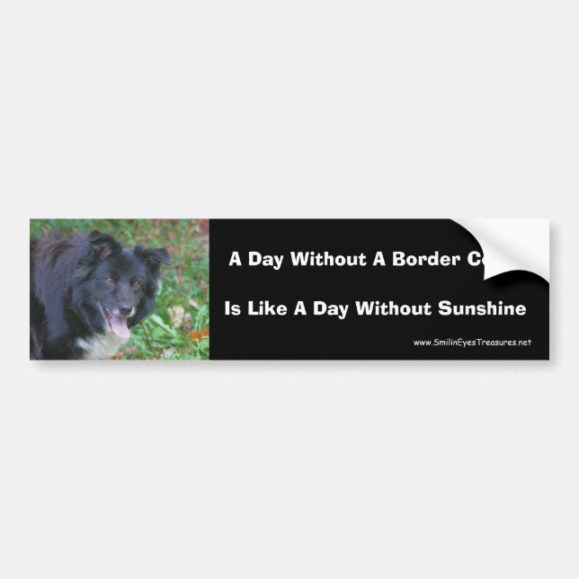 Border Collie Smiling Cute Dog Bumper Sticker (Front)