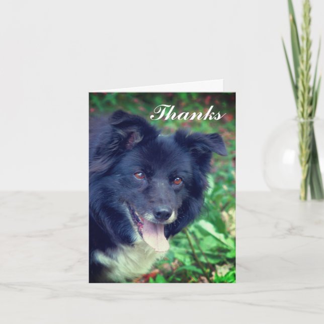 Border Collie Smiling Cute Thank You Card (Front)
