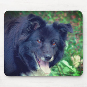 Border Collie Smiling Mouse Mat
