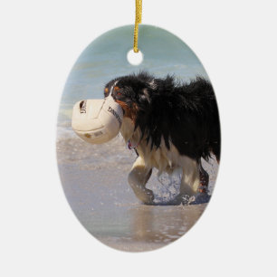 Border Collie - Soccer Anyone? Ceramic Tree Decoration