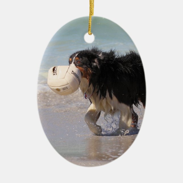 Border Collie - Soccer Anyone? Ceramic Tree Decoration (Front)