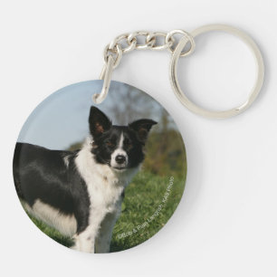 Border Collie Standing Key Ring