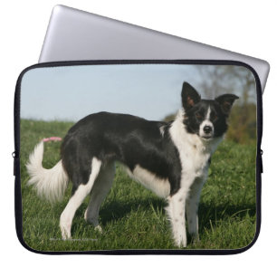 Border Collie Standing Laptop Sleeve