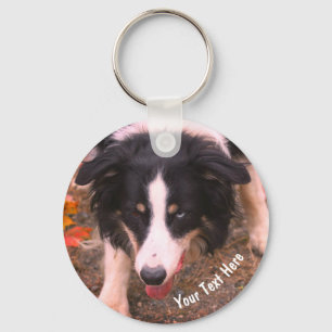 Border Collie Stare Dog Personalised Key Ring