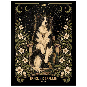 Border Collie, Starlit Tarot Art Postcard