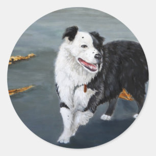 Border Collie Sticker