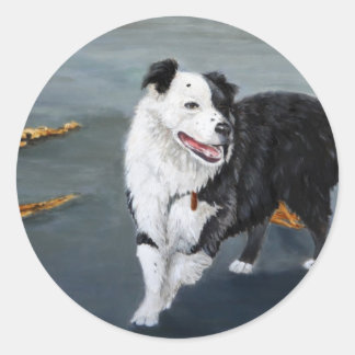 Border Collie Sticker