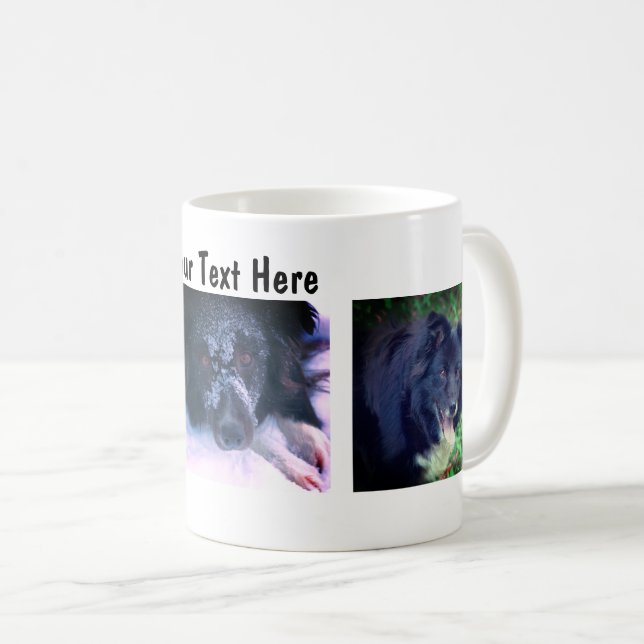 Border Collie Trio Dog Photography Coffee Mug (Front Right)