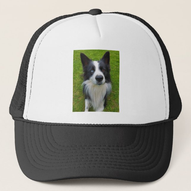 Border Collie Trucker Hat (Front)