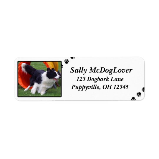 Border Collie Tunnel Agility Return Address Label
