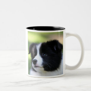 Border Collie Two-Tone Coffee Mug