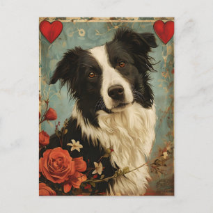 Border Collie Vintage Valentine's day  Postcard